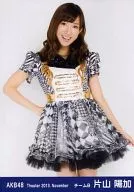 Haruka Katayama / Kneecap / Left Hand Skirt / Theater Trading Official photo Set 2013. November