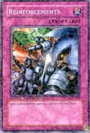 DT01-EN049 [N] : Reinforcements