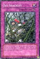 DT02-EN098 [N] : Ivy Shackles / Ivy Shackle