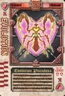 Heart K : Evolution / Evolution Paradise