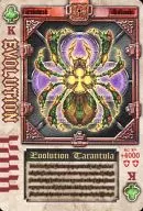 Club K : Evolution/Evolution Tarántula