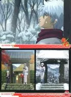 636 [Normal card] : 8th OPENING card