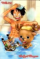 238 : Rufi & Chopper