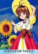 SP3 : Sakura Kinomoto