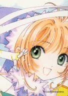 Nº 038 : Puzzle Card 2/9 (dibujado)
