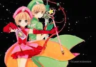 No.026[罕见]:樱花&小狼