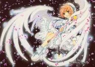 No.088：木之本桜