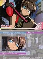 No.132：木之本桜