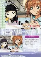 No. 211 : Sakura, Chise and Cerberus