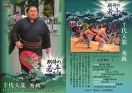 75[サブセットカード]：千代大龍