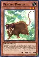 BPW2-EN033 [N] : Playful Possum