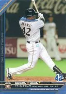 C13RG111 [RG] : Abreu