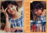 032 [Regular Card] : Yuko Takeuchi / Regular Card / Yuko Takeuchi OFFICIAL TRADING CARD ETUDE