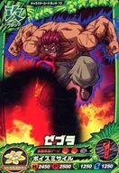 BJ4-10 Normal : cebra