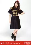 Reika Sakurai / Cheer squad style ・ whole body / "2013. November-III" WEBSHOP limited Official photo