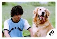 V6 / Ken Miyake / Horizontal, Upper body, Costume Light Blue, White, Dog, Background Lawn / Official Official photo