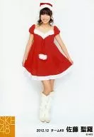 Seira Sato / Whole Body / Costume Santa / Both Hands Skirt / "2012.12" Official Official photo