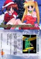 R16 : A's Device Dictionary 7 / Takamachi is Fate Testarossa.