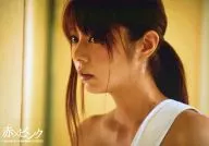 芳贺优里亚/横型·托胸·左向/DVD"开花～电影"红×粉红～"特典生写真