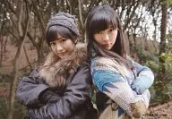 渡边麻友·指原莉乃/CD"只面向前方"山田电机集团特典