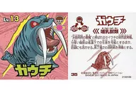 35[ノーマル]：ガウチ