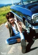 Mamoru Miyano / Body, Costume : Green, White, Leopard Pattern, Sitting, Car, Sunglasses / "Mamoru Miyano Artist BOOK Journey" Gamers Ltd. Purchase benefits Voice Actor アニメディア