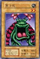 N : Laughing Flowers