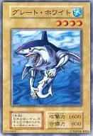 N:Great White