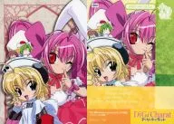 204 [Normal] : ILLUSTRCARD 132