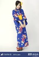 Minami Hoshino / Yukata / Whole body / "2013. July" venue limited Official photo