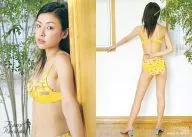 52 : Kinoshita Ayumi / Regular Card / Kinoshita Ayumi Official Card Collection