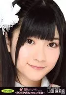 Marina Yamada / Face Up / "AKB48 Midsummer Dome Tour" Official Pamphlet Benefit