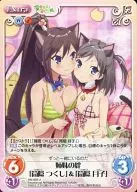 HN-059[U]:姐妹的羁绊&
