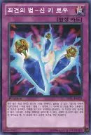 JOTL-KR072 [N] : Sin Key Law - Sin Key Low