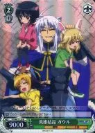 DD/WE17-20[R]：(ホロ)英雄結晶 ガウル