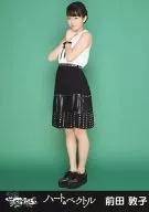 Atsuko Maeda / Whole Body and Both Hands / CD "Heart Vector" Whole Ver.