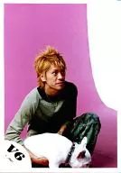 V6 / Takeshi Morita / Whole Body / Crouching / Costume Stripe Green Gray / Upper Right Eye View / Pink Background / Dog / Official Official photo