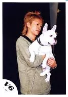 V6 / Takeshi Morita / Upper Body / Costume Gray Green Border / Eye Right / Holding Dog / Official Official photo