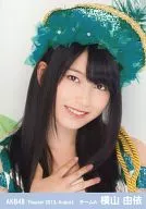 Yui Yokoyama / Bust Up / Theater Trading Official photo Set 2013. August