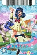 15/46 Normal : Erika Kurumi