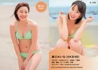 G-184 : Reina Fujie / Magazines "Girls!" Appendix Torayca