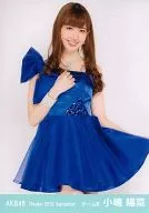 Haruna Kojima / Knee-Upper Left Skirt / Theater Trading Official photo Set 2013. September