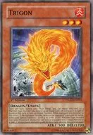 TSHD-EN031[N]:Trigon/TRIGON