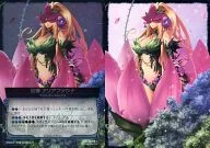 CO02 001[TD]：幼精 アリアファウナ