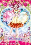 P-114[預備]:夢原望