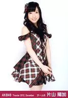 Haruka Katayama / Lap / Theater Trading Official photo Set 2012. December