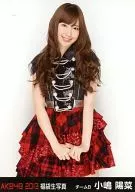 Haruna Kojima / Above the Knees / 2013 Fukubukuro Official photo