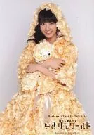 Yuki Kashiwagi / Above-the-knee, Doll Holding / DVD "Sleeping or Waking Up, Yukirin World" Included Bonus