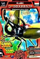 A-069 [Copper Rare] : Chalcosoma caucasus