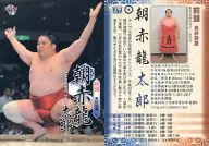 29[常规卡]:朝赤龙太郎
